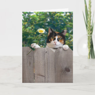 Cartão De Agradecimento Thank You Cat Card Funny Cute Adorable Best