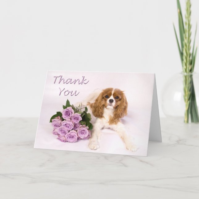 Cartão De Agradecimento Thank You Cavalier King Charles Spaniel Roses (Frente)