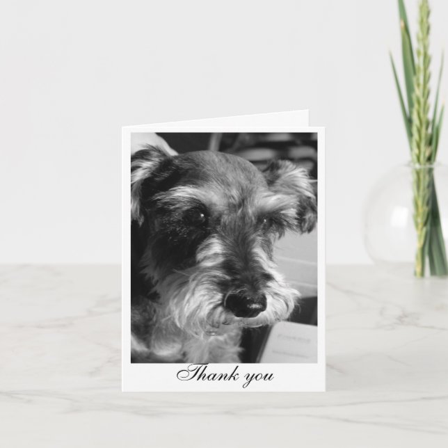 Cartão De Agradecimento Thank you (Charmin) (Frente)