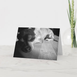 Cartão De Agradecimento Thank You Chihuahua Card