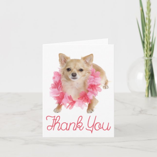 Cartão De Agradecimento Thank You Chihuahua Puppy Dog Blank Notecard (Frente)