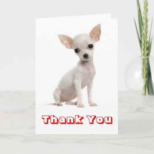Cartão De Agradecimento Thank You Chihuahua Puppy Dog Greeting Card (Frente)