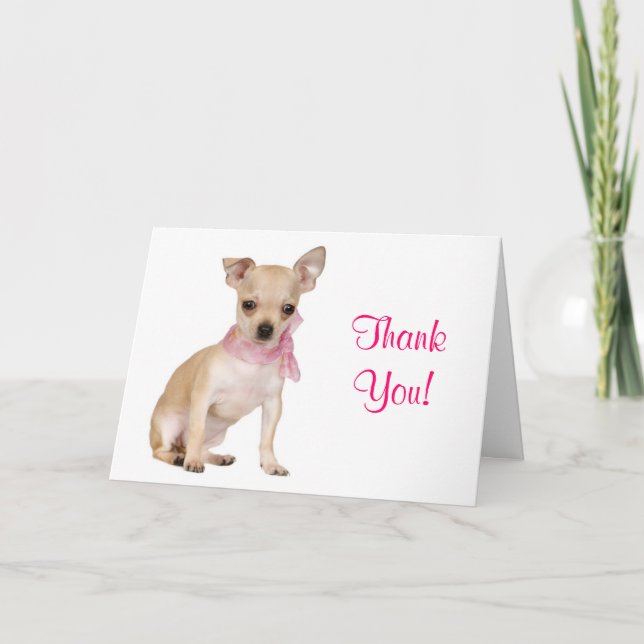 Cartão De Agradecimento Thank You  Chihuahua Puppy Dog Greeting Card (Frente)