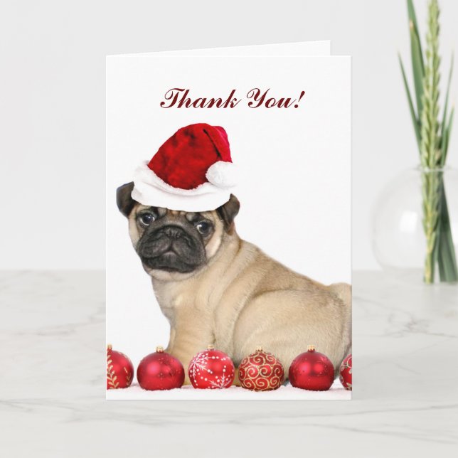 Cartão De Agradecimento Thank You Christmas Pug dog card (Frente)