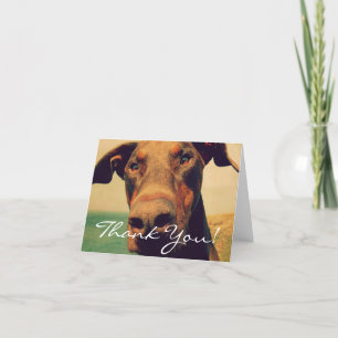 Cartão De Agradecimento Thank You Doberman