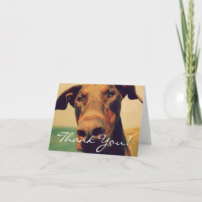 Cartão De Agradecimento Thank You Doberman (Frente)