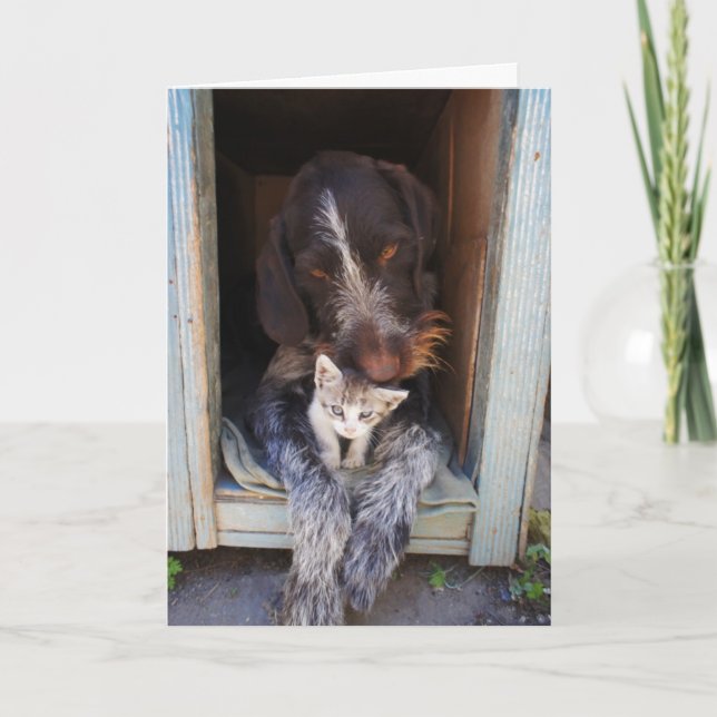 Cartão De Agradecimento Thank-You Dog and Kitten Greeting Card (Frente)