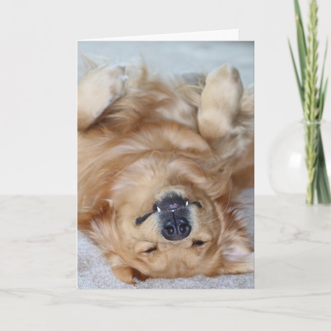 Cartão De Agradecimento Thank You Fangs (Frente)