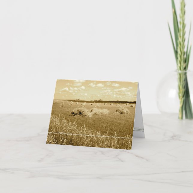 Cartão De Agradecimento thank*you_folded blank note card (Frente)
