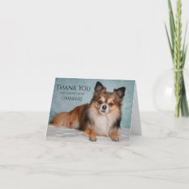 Cartão De Agradecimento Thank You For Looking After Our Pet