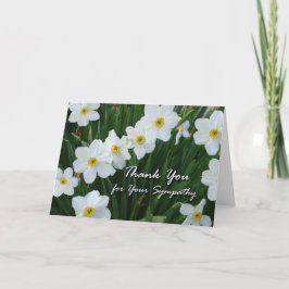 Cartão De Agradecimento Thank You for Sympathy, Narcissus Flowers