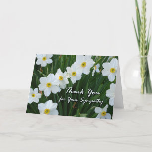 Cartão De Agradecimento Thank You for Sympathy, Narcissus Flowers
