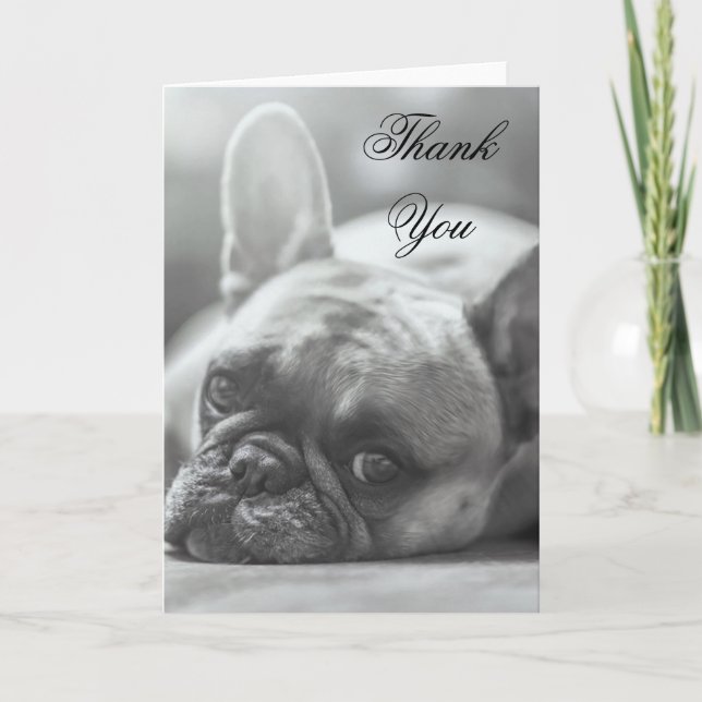 Cartão De Agradecimento Thank You French Bulldog dog greeting card (Frente)