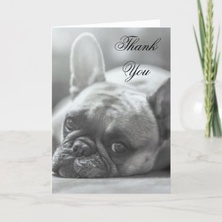 Cartão De Agradecimento Thank You French Bulldog dog greeting card