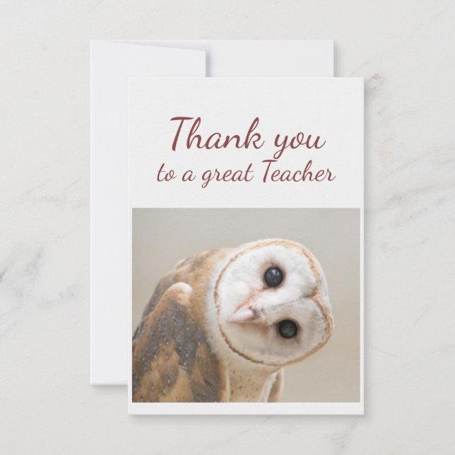 Cartão De Agradecimento  Thank You Fun Curious Barn Owl Bird Teacher (Frente)
