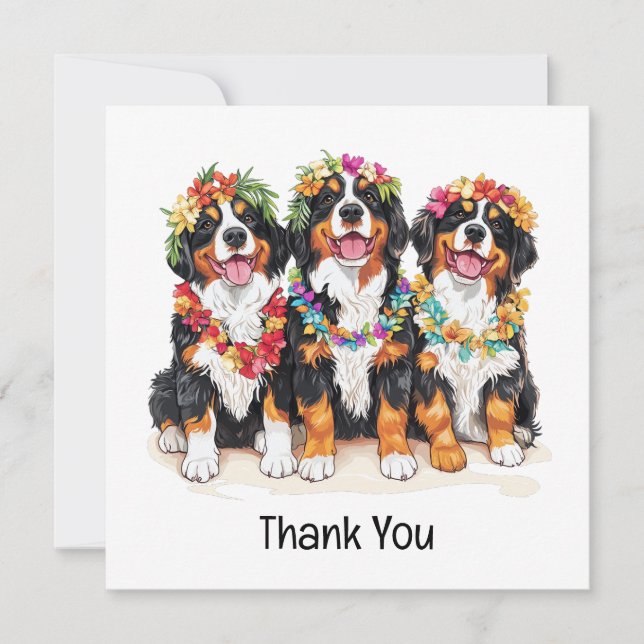 Cartão De Agradecimento Thank You Hawaiian Bernese Mountain Dogs (Frente)