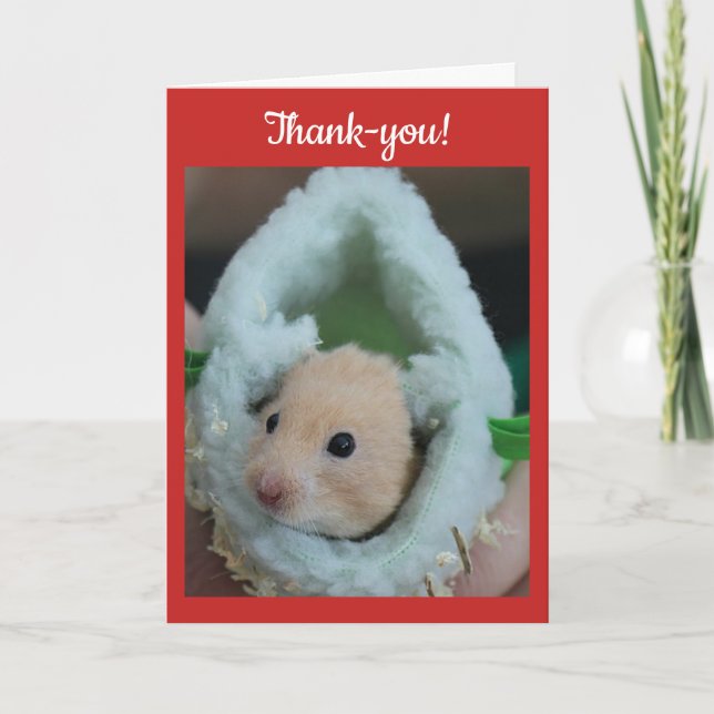 Cartão De Agradecimento Thank-You Holiday Hamster (Frente)