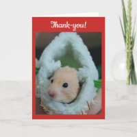 Thank-You Holiday Hamster