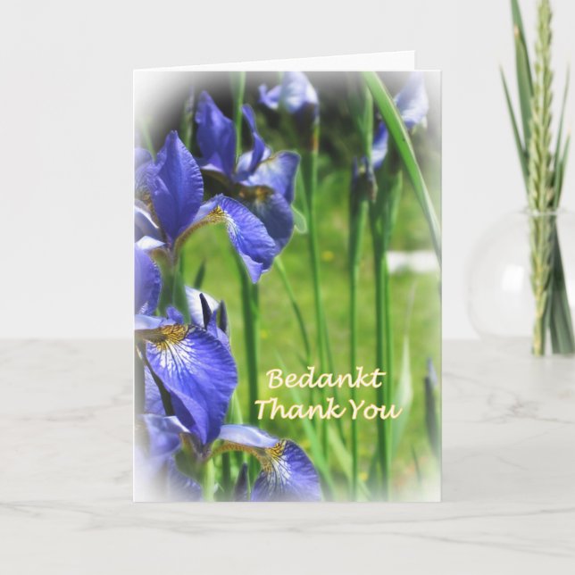 Cartão De Agradecimento Thank You in Dutch and English (Frente)