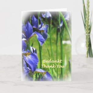 Cartão De Agradecimento Thank You in Dutch and English