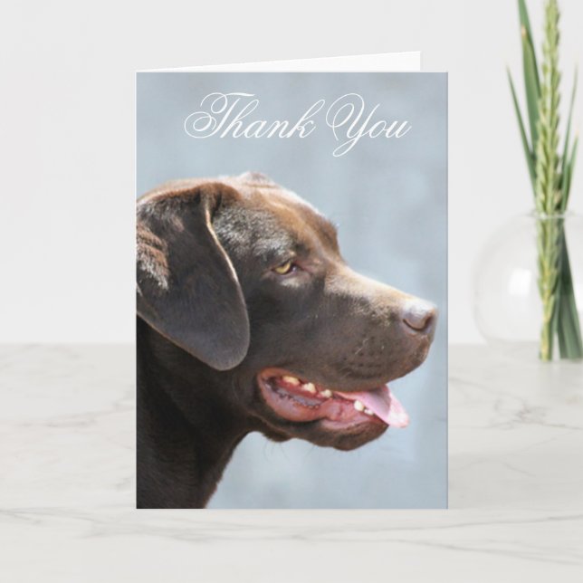 Cartão De Agradecimento Thank You Labrador Retriever dog greeting card (Frente)