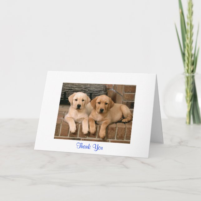 Cartão De Agradecimento Thank You Labrador Retriever Puppies Greeting Card (Frente)
