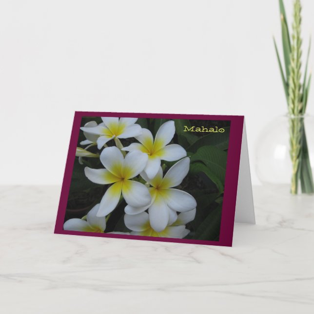 Cartão De Agradecimento Thank you (Mahalo) card - white plumeria cascade (Frente)