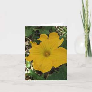 Cartão De Agradecimento Thank you notecard