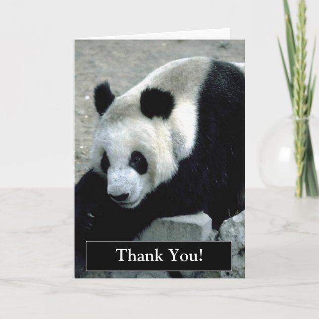 Cartão De Agradecimento Thank You Panda Bear Card (Frente)