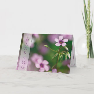 Cartão De Agradecimento Thank You - Pink Wood Sorrel Greeting Card