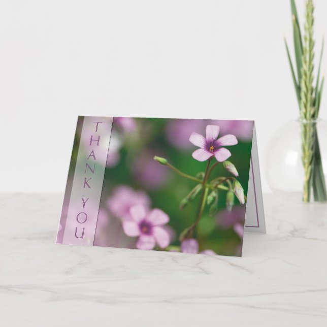 Cartão De Agradecimento Thank You - Pink Wood Sorrel Greeting Card (Frente)