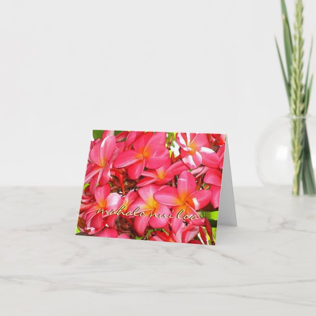 Cartão De Agradecimento Thank You Plumeria (Frente)