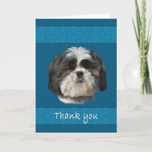 Cartão De Agradecimento Thank You, Shih Tzu Dog Card