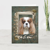 Thank You - Stone Paws - Cavalier