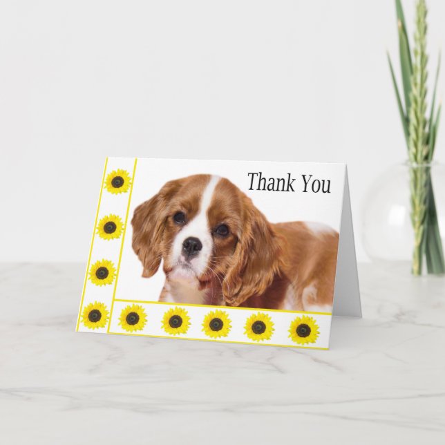 Cartão De Agradecimento Thank You Sunflowers Cavalier King Charles Spaniel (Frente)
