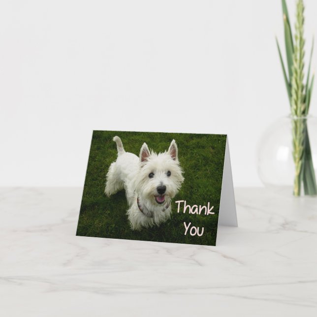 Cartão De Agradecimento Thank You West Highland Terrier Puppy Dog Card (Frente)