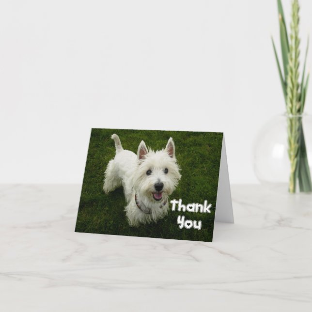 Cartão De Agradecimento Thank You West Highland Terrier Puppy Dog Card (Frente)