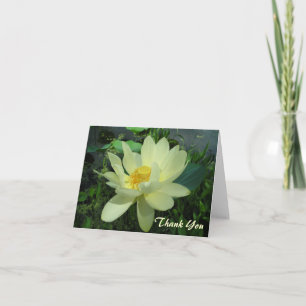 Cartão De Agradecimento Thank You yellow water lily flower Card