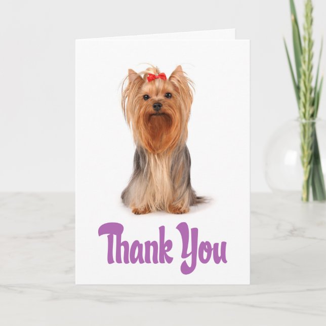 Cartão De Agradecimento Thank You Yorkshire Terrier Puppy Card - Verse (Frente)