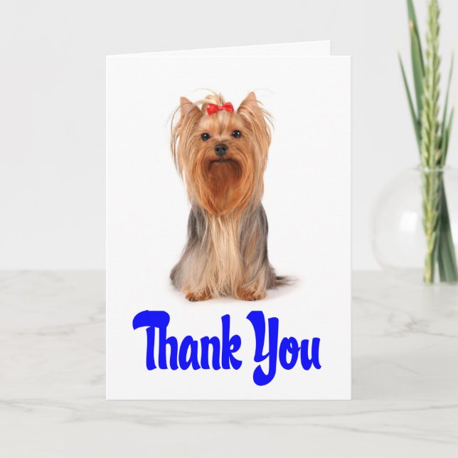 Cartão De Agradecimento Thank You Yorkshire Terrier Puppy Card - Verse (Frente)