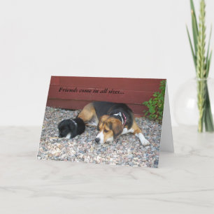 Cartão De Agradecimento Thanks For Being A Friend Beagle Greeting Card