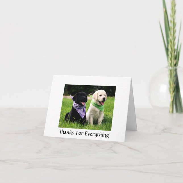 Cartão De Agradecimento Thanks  Labrador Retriever Puppies Greeting Card (Frente)