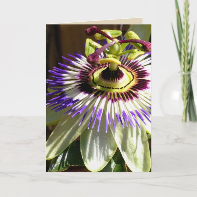 Cartão De Agradecimento Thanks or Whatever Thank You Card (Frente)