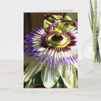 Cartão De Agradecimento Thanks or Whatever Thank You Card