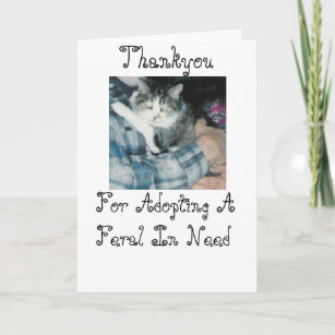 Cartão De Agradecimento Thankyou-Feral Cat