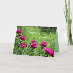 Cartão De Agradecimento Thinking of you . . .Greeting Card