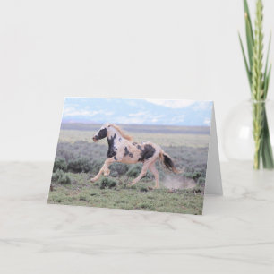 Cartão De Agradecimento Thor of McCullough Peaks Greeting Card