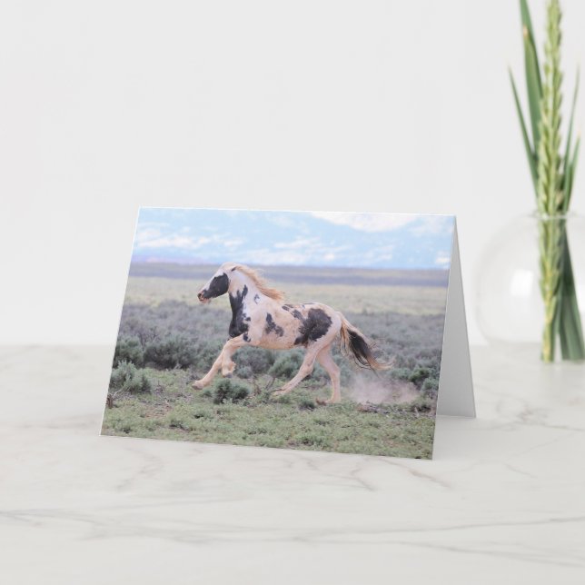Cartão De Agradecimento Thor of McCullough Peaks Greeting Card (Frente)
