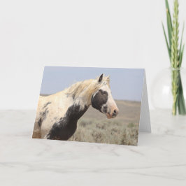 Cartão De Agradecimento Thor of McCullough Peaks Greeting Card