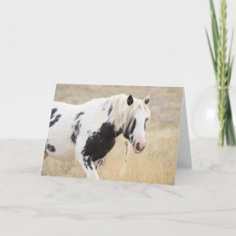 Cartão De Agradecimento Thor of McCullough Peaks Greeting Card